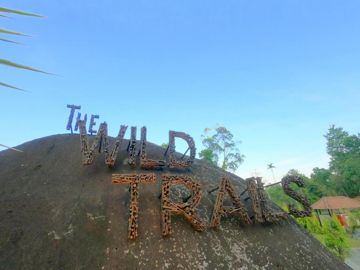 The Wild Trails Clarks Exotica , Munnar Exterior foto