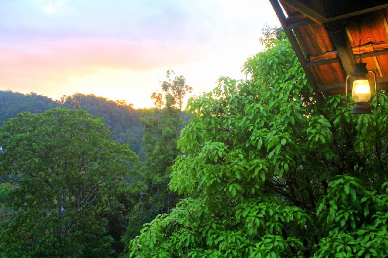 The Wild Trails Clarks Exotica , Munnar Exterior foto