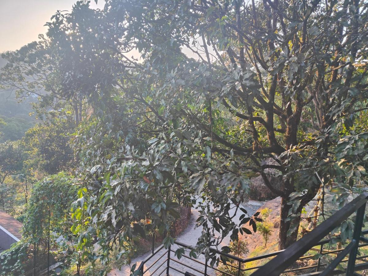 The Wild Trails Clarks Exotica , Munnar Exterior foto